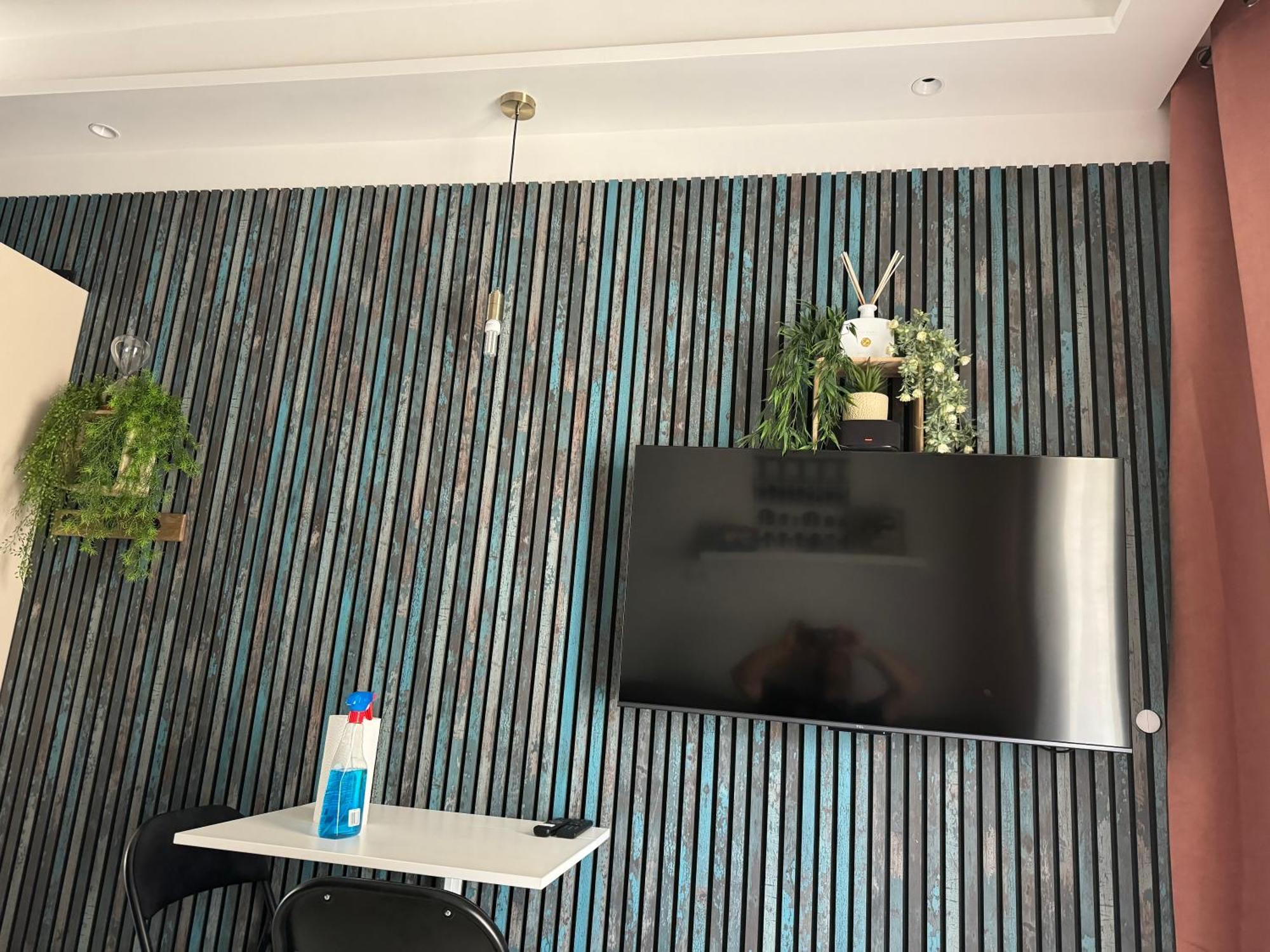 Chez Flo Appartement Grenoble Buitenkant foto